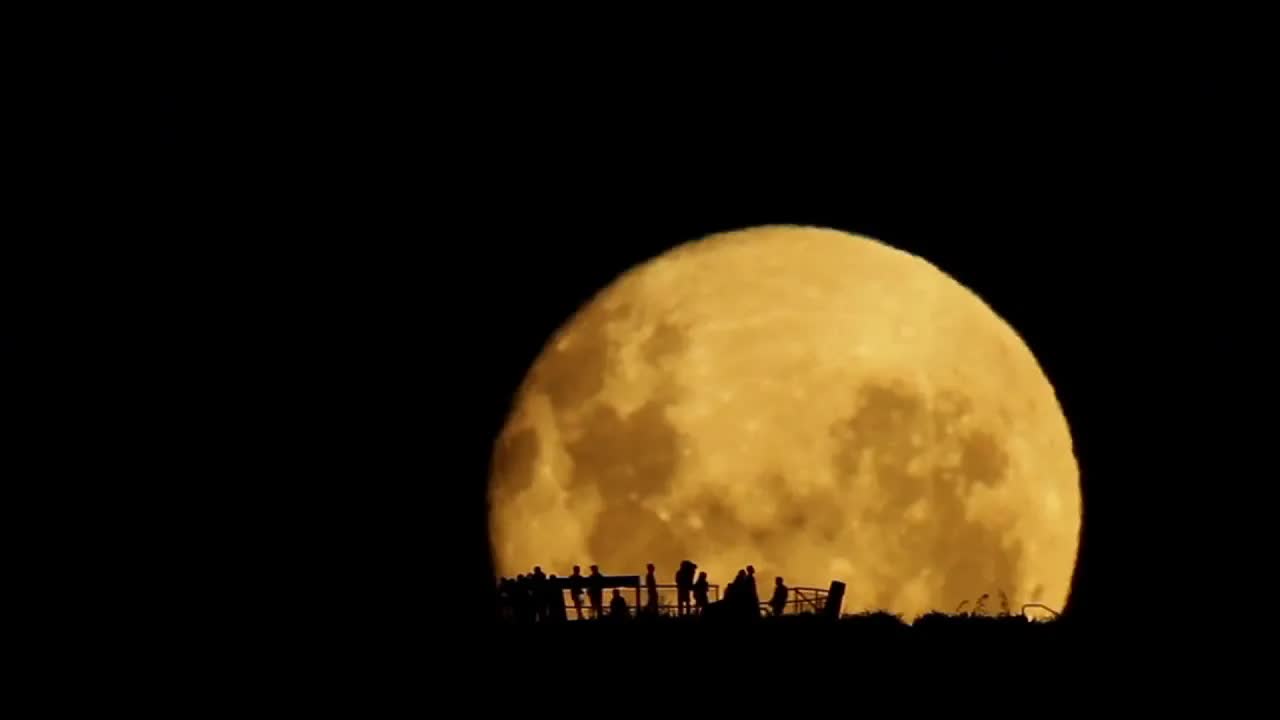 Chaartaar Band - مرا به خاطرت نگه دار - چارتار