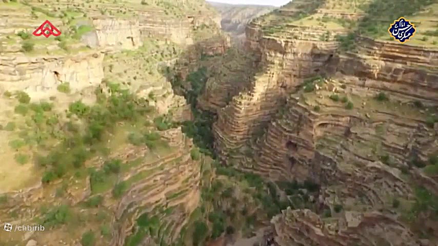 ویدئو زیبای علیرضا قربانی