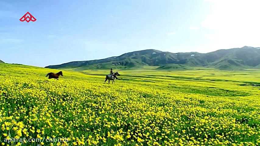 ویدئو جدید علی زند وکیلی