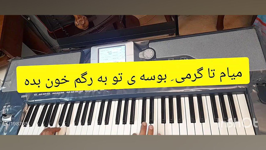 شاد حمید معین