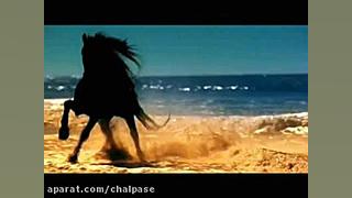 آهنگ زیبای Gipsy Kings- Viento Del Arena