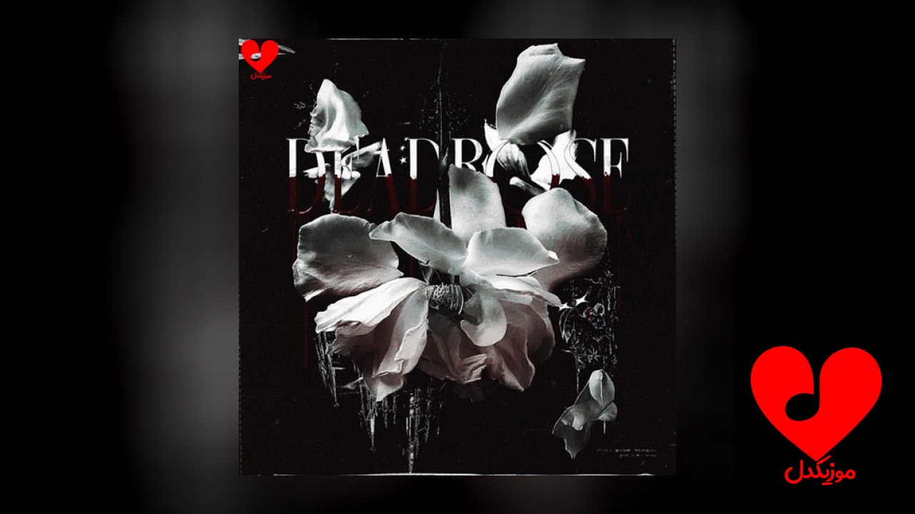 deadrose