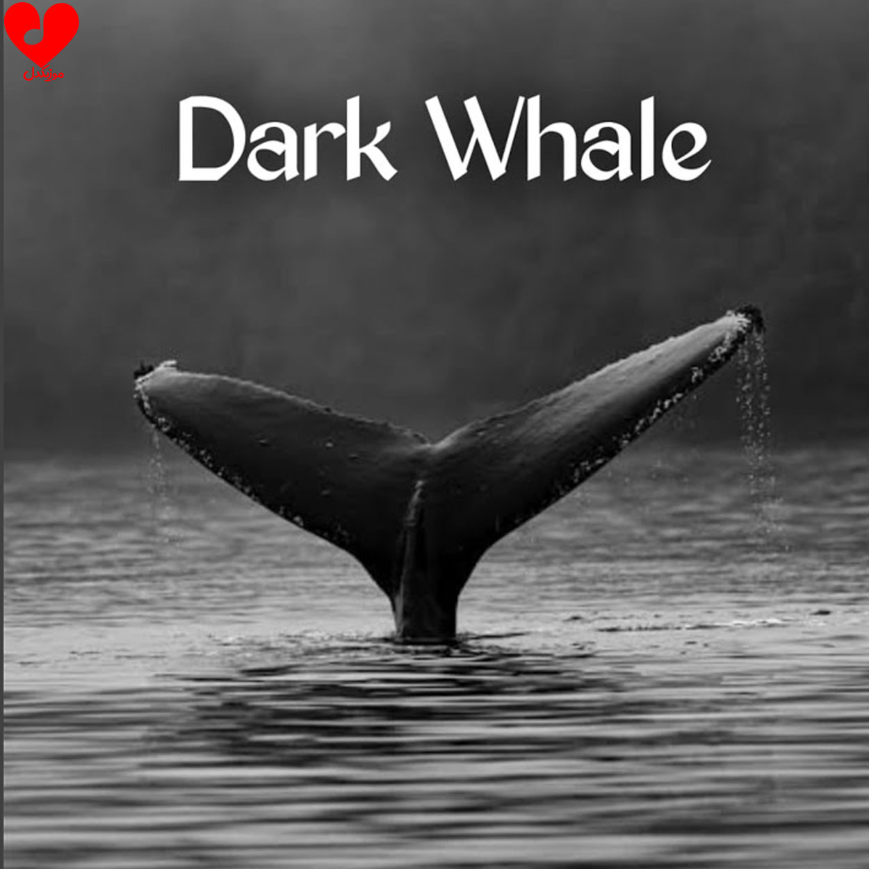 اهنگ Dark Whale