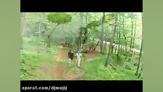 دلبر