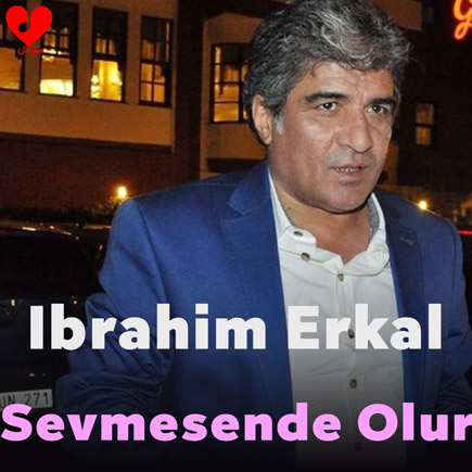 Sevmesende Olur