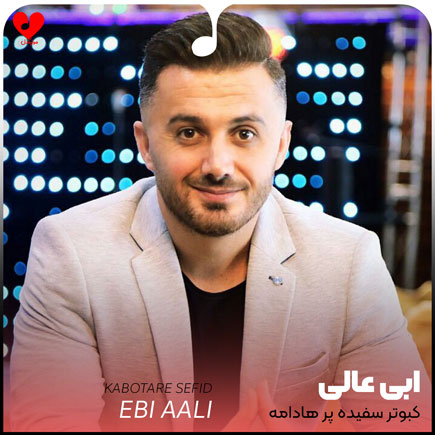 کبوتر سفیده پر هادامه +