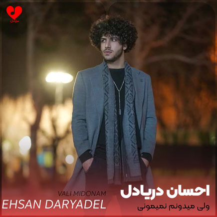 ولی میدونم نمیمونی نداره معنی مهروبونی