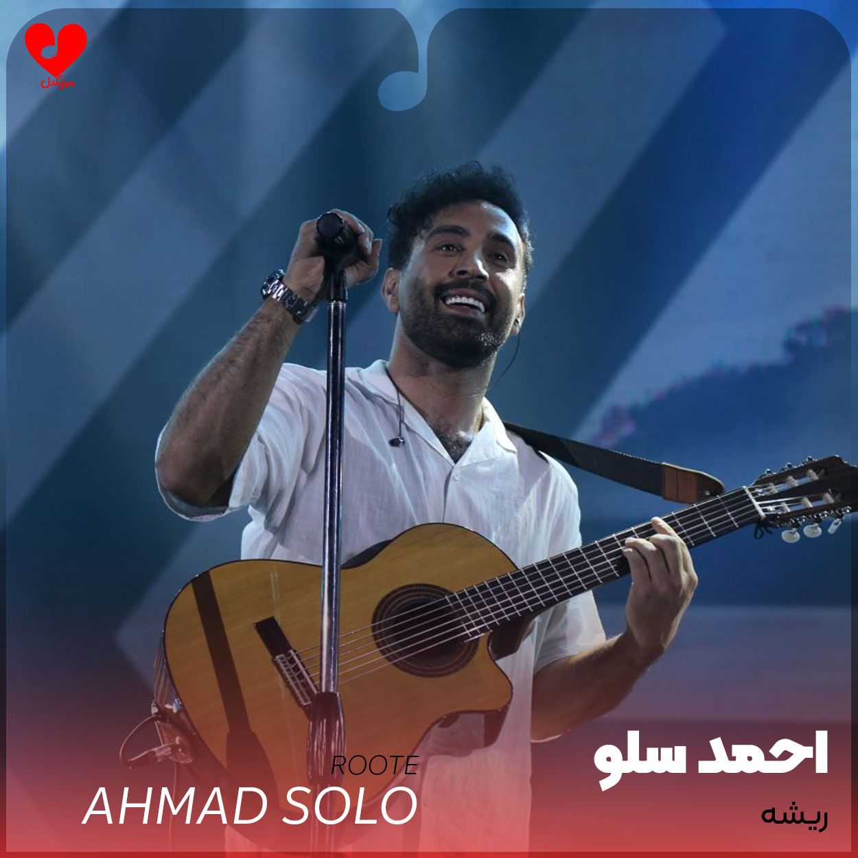 ریشه