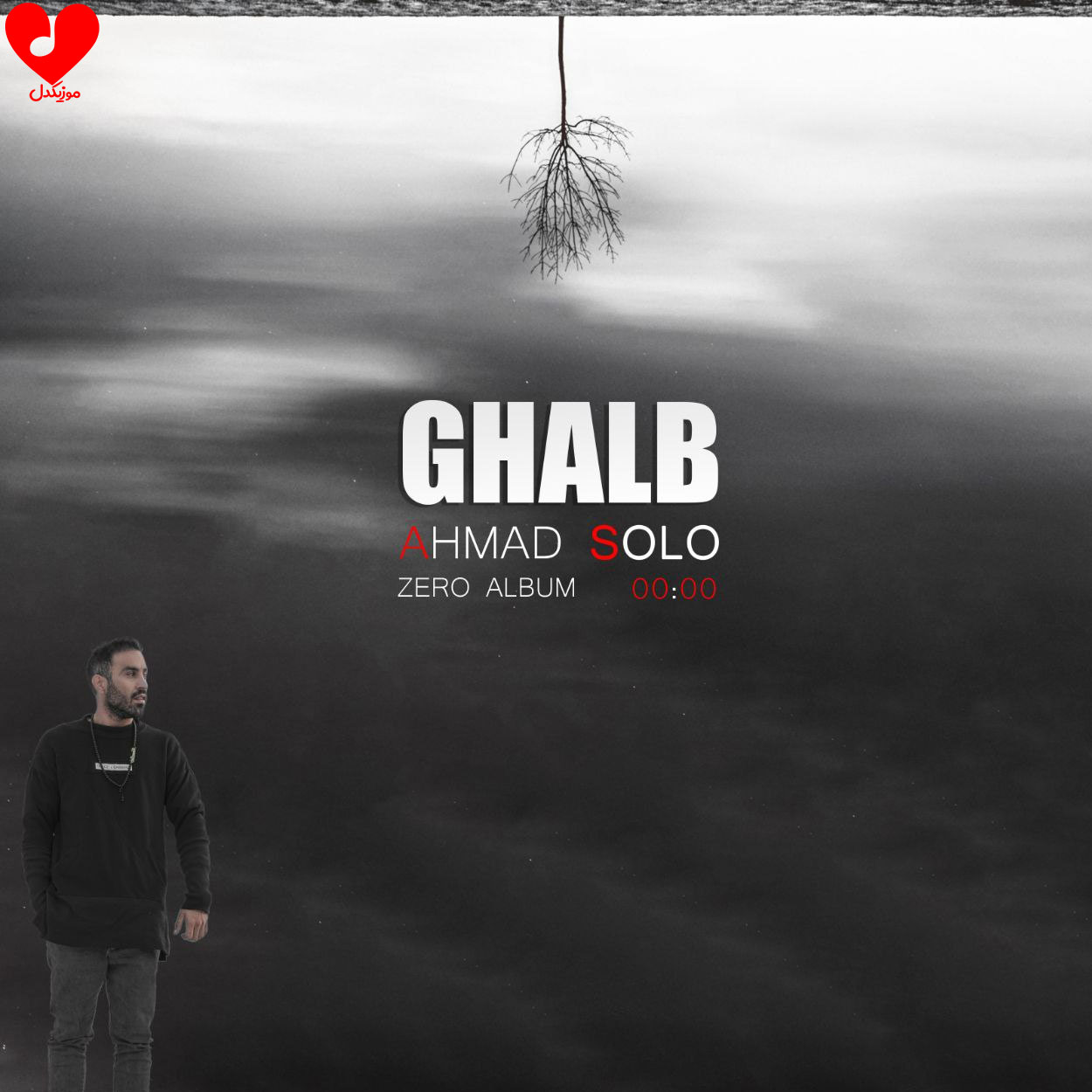 قلب