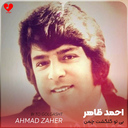 بی تو گلگشت چمن