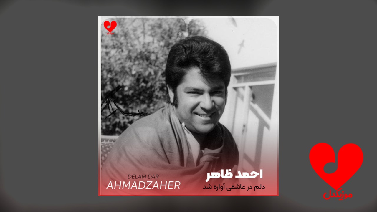 دلم در عاشقی آواره شد