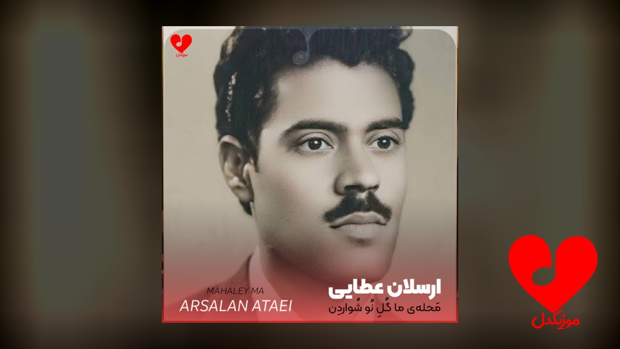 بندری محله‌ی ما گل نو شواردن