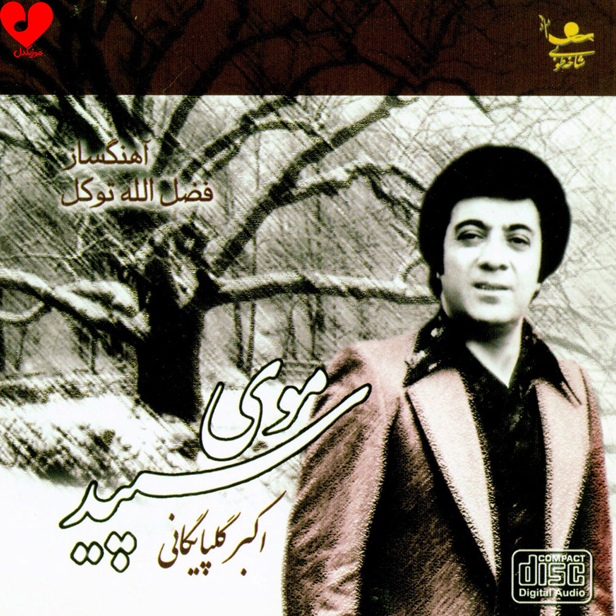 موی سپید