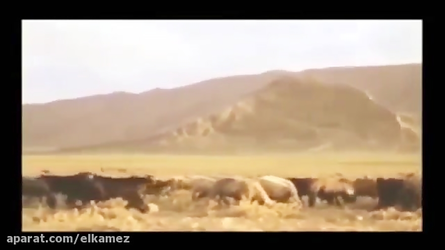 گَل منهَ