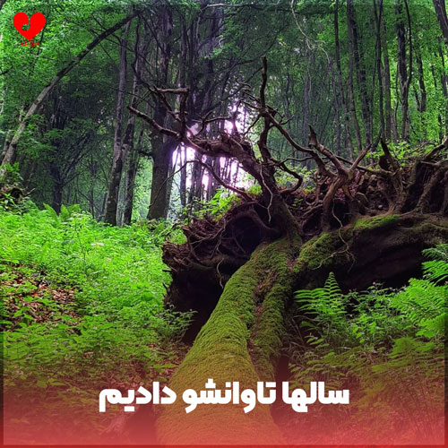 سالها تاوانشو دادیم تا
