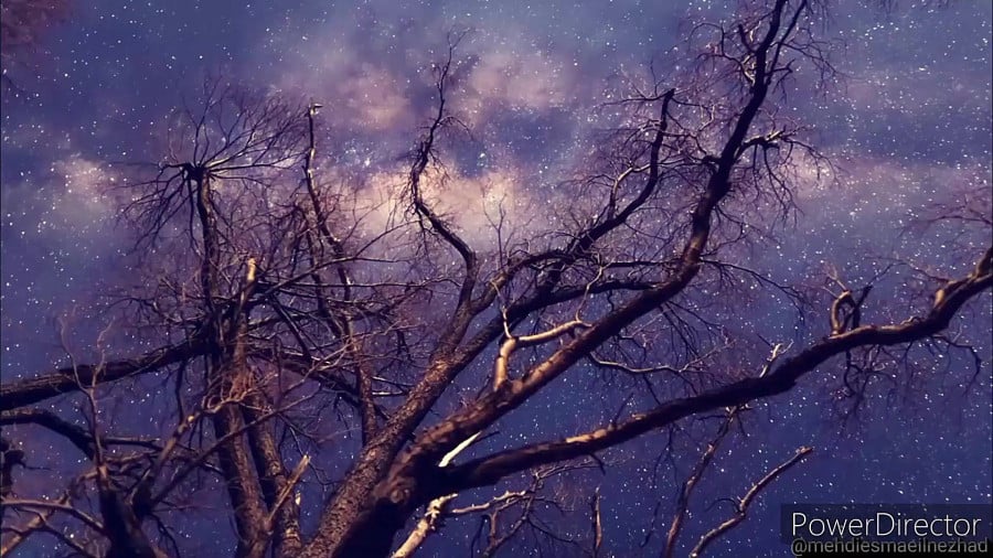 سکوت شب