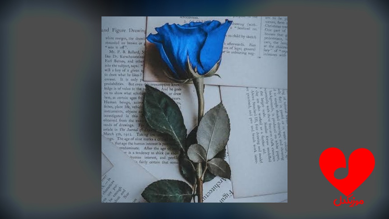 رز آبی من غم