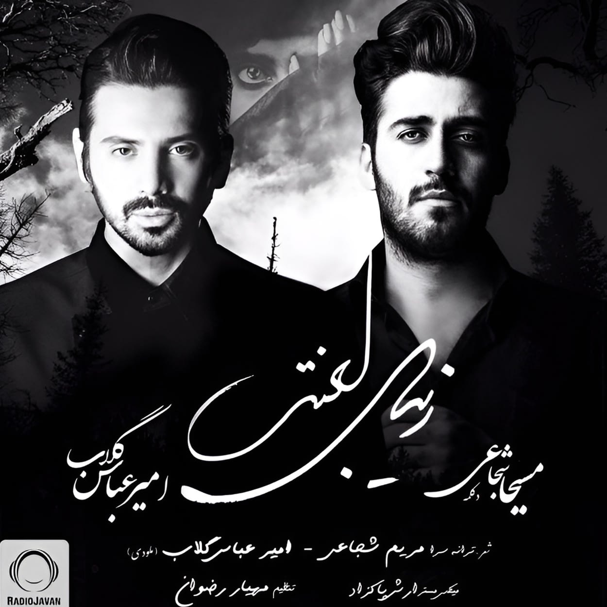 زیبای لعنتی