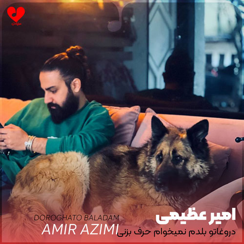 دروغاتو بلدم نمیخوام حرف بزنی