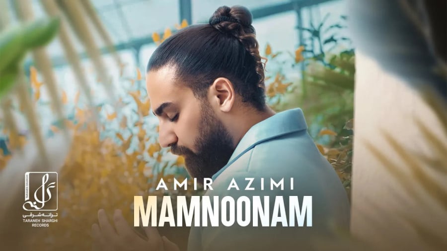 ممنونم