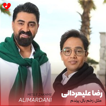 مثل زخم بال پرندم