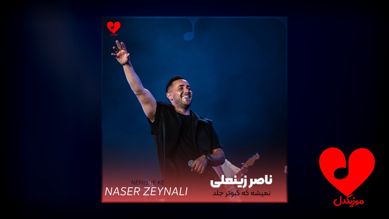نمیشه که کبوتر جلد