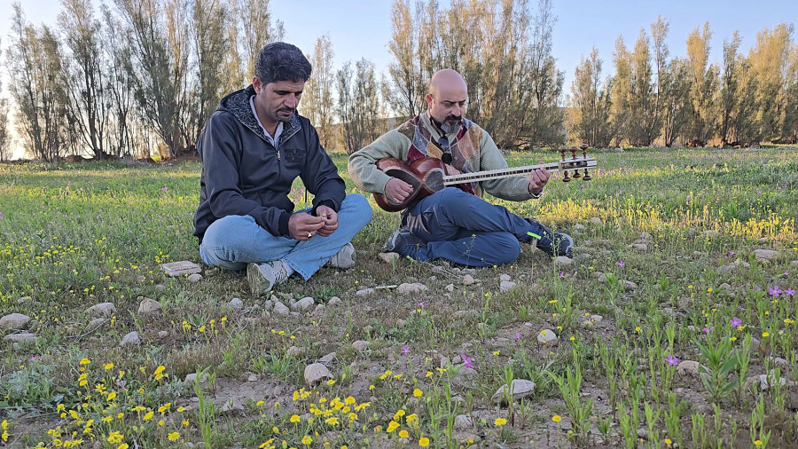 گوش کردم