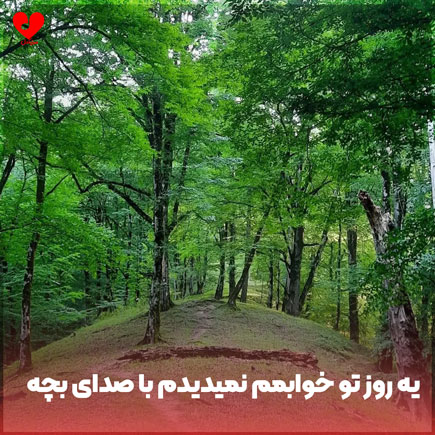 یه روز تو خوابمم نمیدیدم
