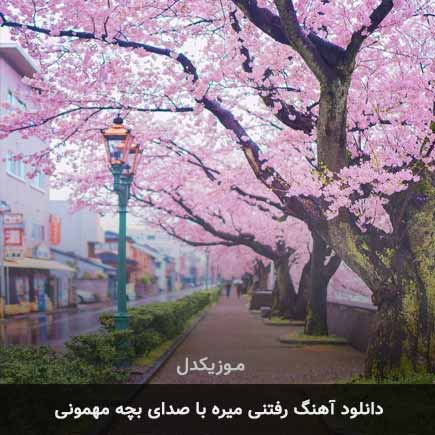 اهنگ رفتنی میره