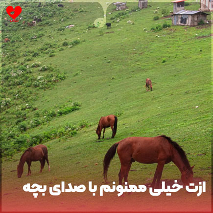 اهنگ ازت خیلی ممنونم