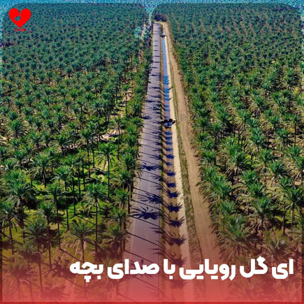 اهنگ ای گل رویایی