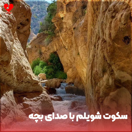 اهنگ سکوت شویلم