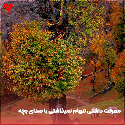 اهنگ معرفت داشتی تنهام نمیذاشتی
