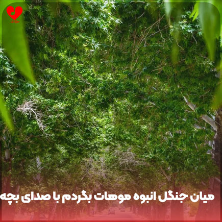اهنگ میان جنگل انبوه موهات بگردم