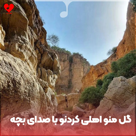 اهنگ گل منو اهلی کردنو برمیگردن