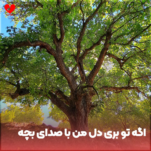 اگه تو بری دل