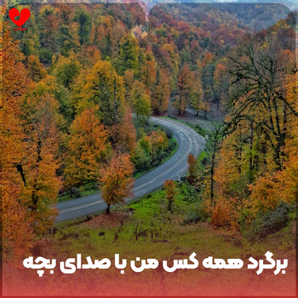 برگرد همه کس من
