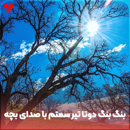 بنگ بنگ دوتا تیر سمتم
