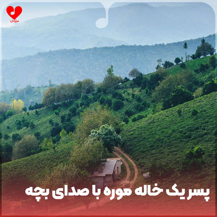 ته سر یک خال