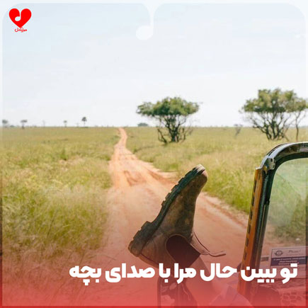 تو ببین حال مرا