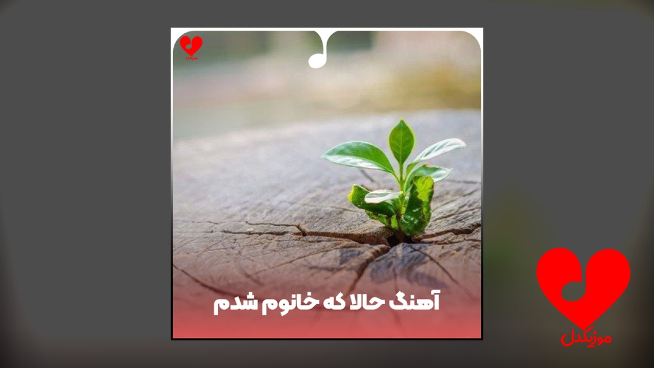 حالا که خانوم شدم