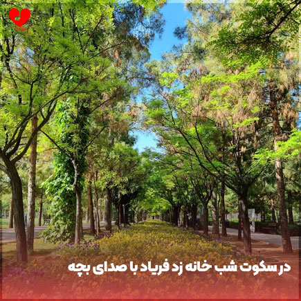 در سکوت شب خانه زد فریاد
