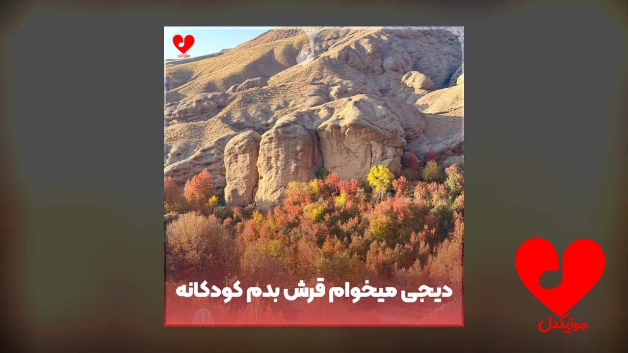 دیجی میخوام قرش بدم کودکانه