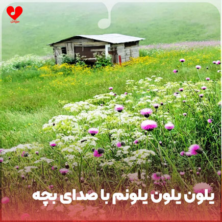 لری یلون یلون یلونم
