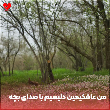 من عاشکیمین دلیسیم