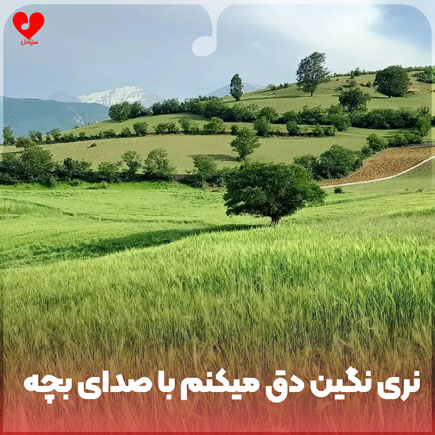 نری نگین دق میکنم