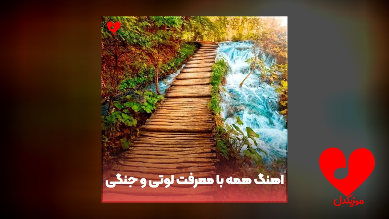 همه با معرفت لوتی