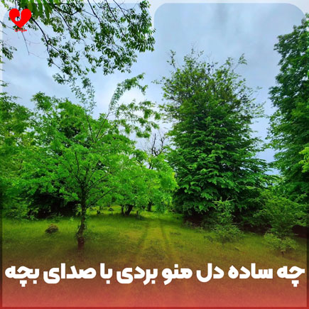 چه ساده دل منو