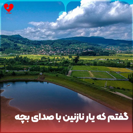 گفتم که یار نازنین