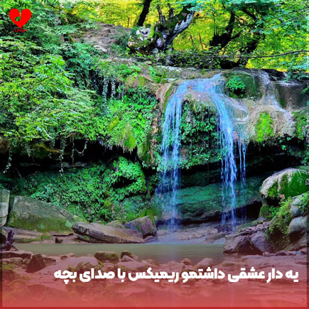 یه دار عشقی داشتمو